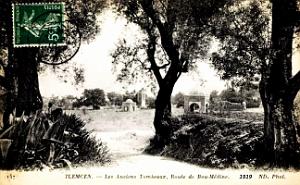 Tlemcen - Tombeaux Anciens - Route de Bou-Medine - 1919